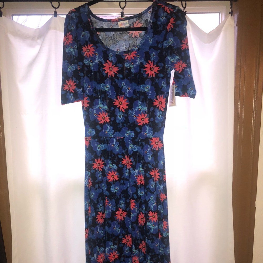 LuLaRoe Ana dress